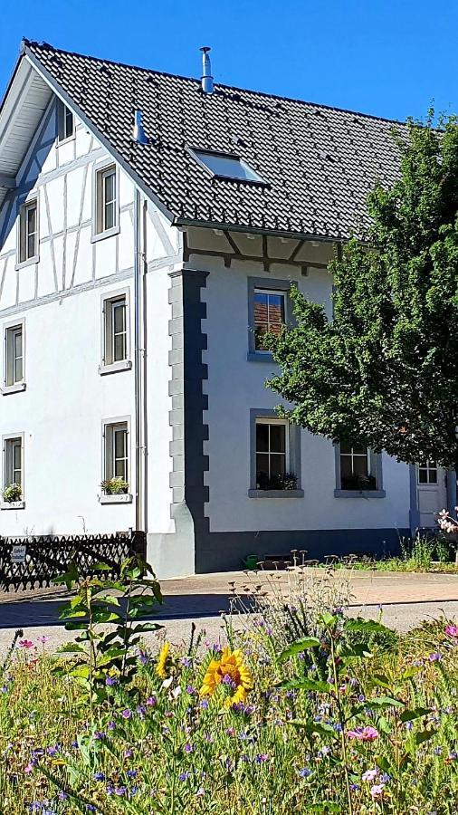 Apartment Kerbholz - Zwischen Suedschwarzwald Und Schweiz Griessen Exteriér fotografie